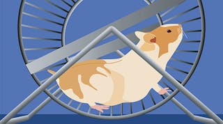 Industryweek 12305 Hamster Exercise Wheel T