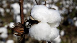 Industryweek 12467 Cotton