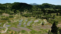 Canon Tokki a key OLED supplier is located in Niigata prefecture Canon Tokki a key OLED supplier is located in Niigata prefecture