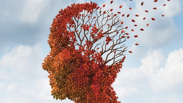 We need to forget things in order to take in more relevant data for employers this is critical to the planning and presentation of training programs