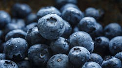 Industryweek 12931 Blueberries