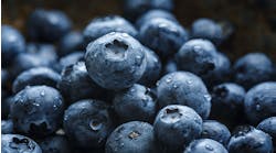 Industryweek 12931 Blueberries