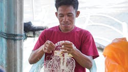 discarded fishing gear poses threat to marine wildlife discarded fishing gear poses threat to marine wildlife