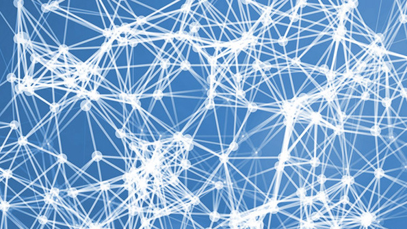 A network of connections