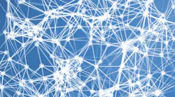 A network of connections