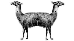 doolittle pushmi pullyu doolittle pushmi pullyu