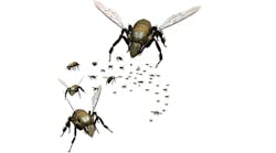 Industryweek 21170 Swarm Bees 0