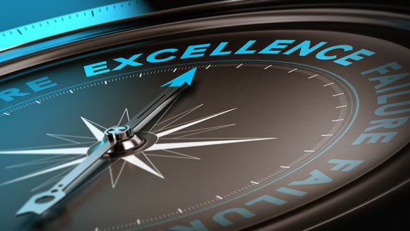 Operational Excellence: Business Function Or Core Capability ...