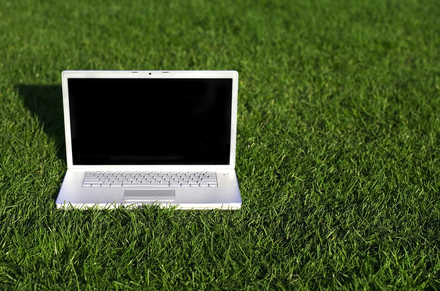 Greenfield Observations for Industry Leaders