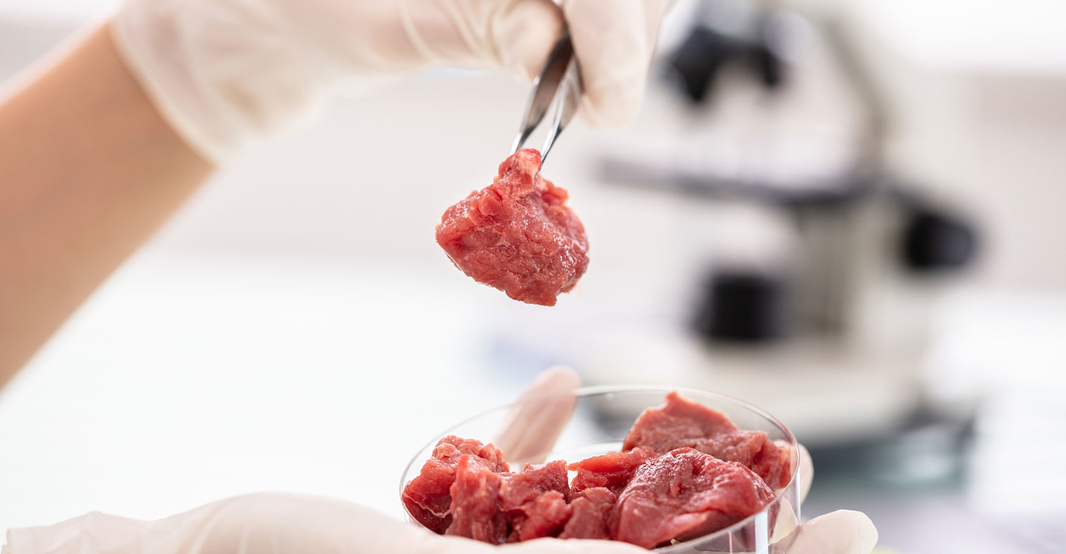 Lab Grown Meat