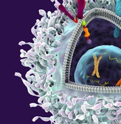 New Gene Therapy Manufacturing Plant Opens In Maryland New Gene Therapy Manufacturing Plant Opens In Maryland