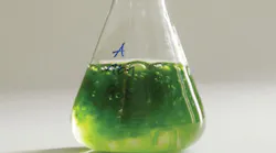 Algae Biofuel