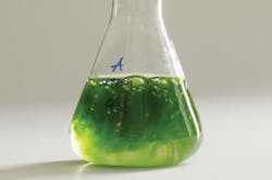 Algae Biofuel Algae Biofuel