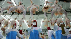Poultry Mfg.