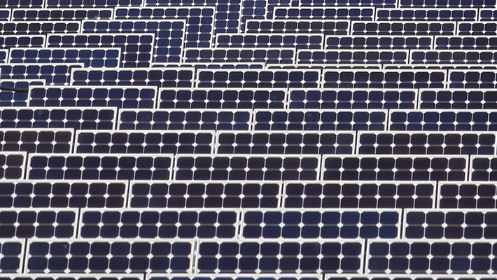 A field of solar panels in Illinois look skyward.