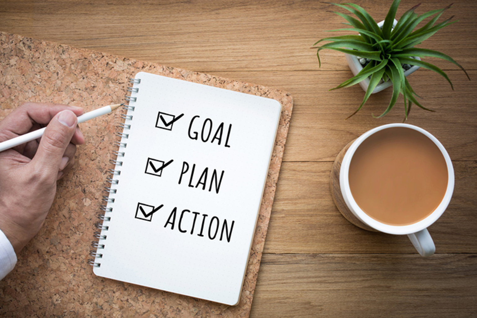 Action plan for goals