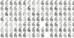 generative-autodesk generative-autodesk