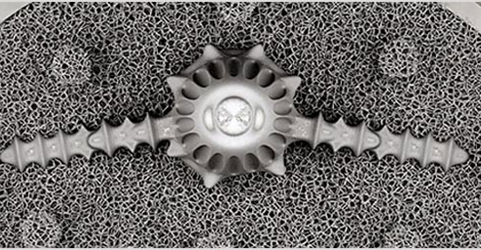 trabecular-structures-autodesk