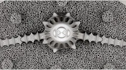 trabecular-structures-autodesk