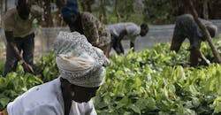 hersey-growing-for-good hersey-growing-for-good