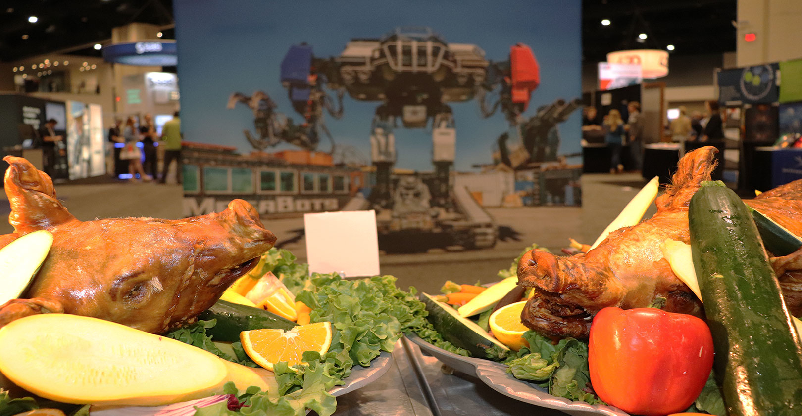 expo-floor-promo-hog-wild