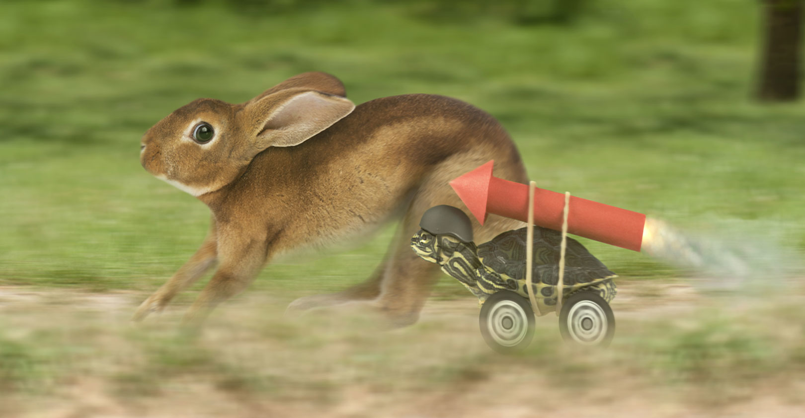 tortoise-hare-rocket-web