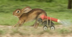 tortoise-hare-rocket-web tortoise-hare-rocket-web