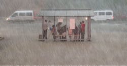 bus-stop-rain-1620 bus-stop-rain-1620