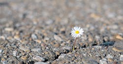 A Case for Hope A Case for Hope