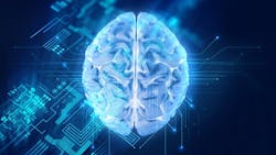 blue brain blue brain