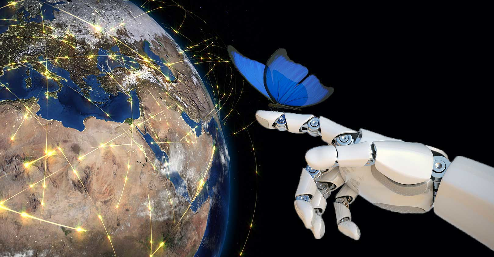 butterfly-supply-chain-correct