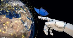 butterfly-supply-chain-correct butterfly-supply-chain-correct