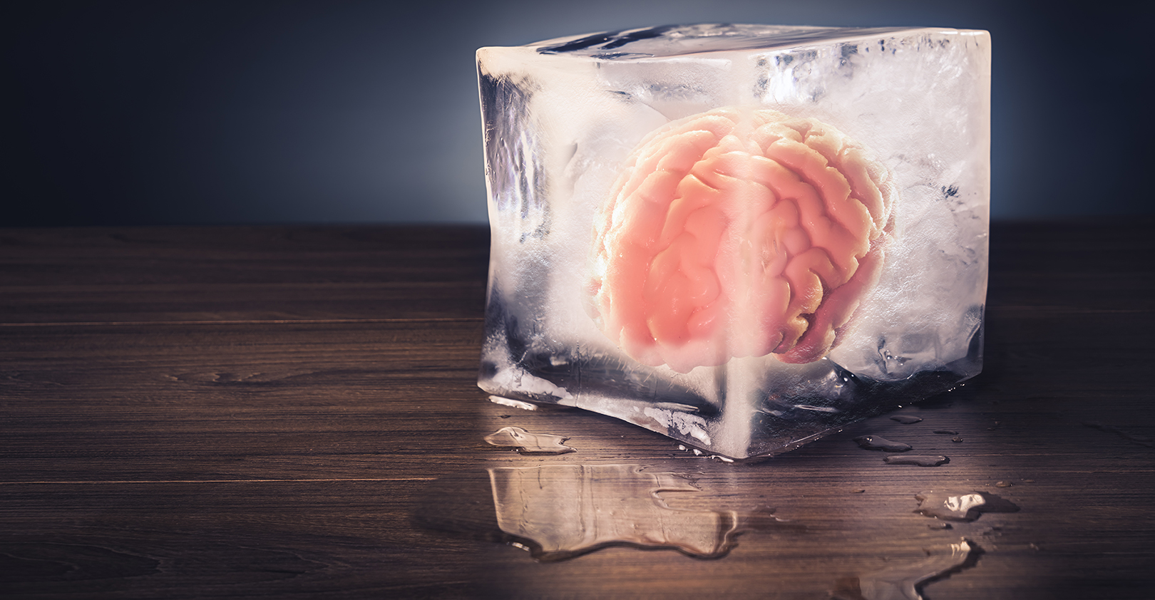 brain-ice-cube