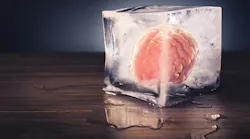 brain-ice-cube