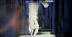 Silicon Valley Home to New 3D Print, Nanotech Center to Manufacture Advanced Medical Devices Silicon Valley Home to New 3D Print, Nanotech Center to Manufacture Advanced Medical Devices