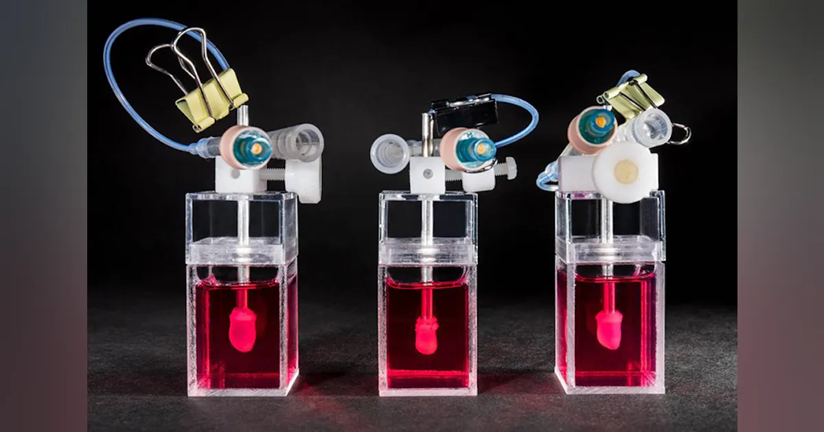 Mini Heart Instruments Manufacturing Mini-Hearts for Better Health Outcomes | IndustryWeek