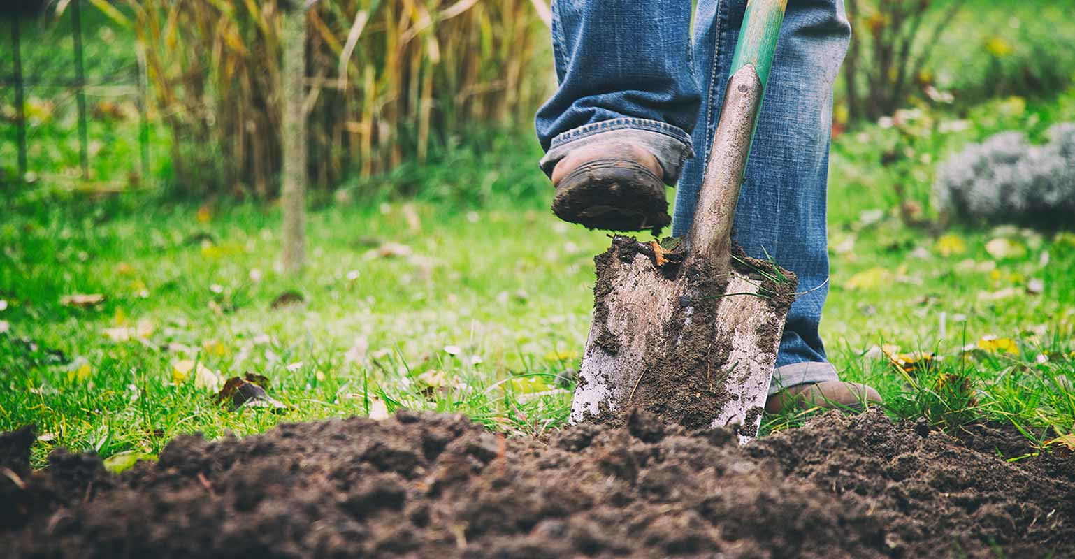 person digging in a garden with a spade