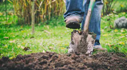 person digging in a garden with a spade