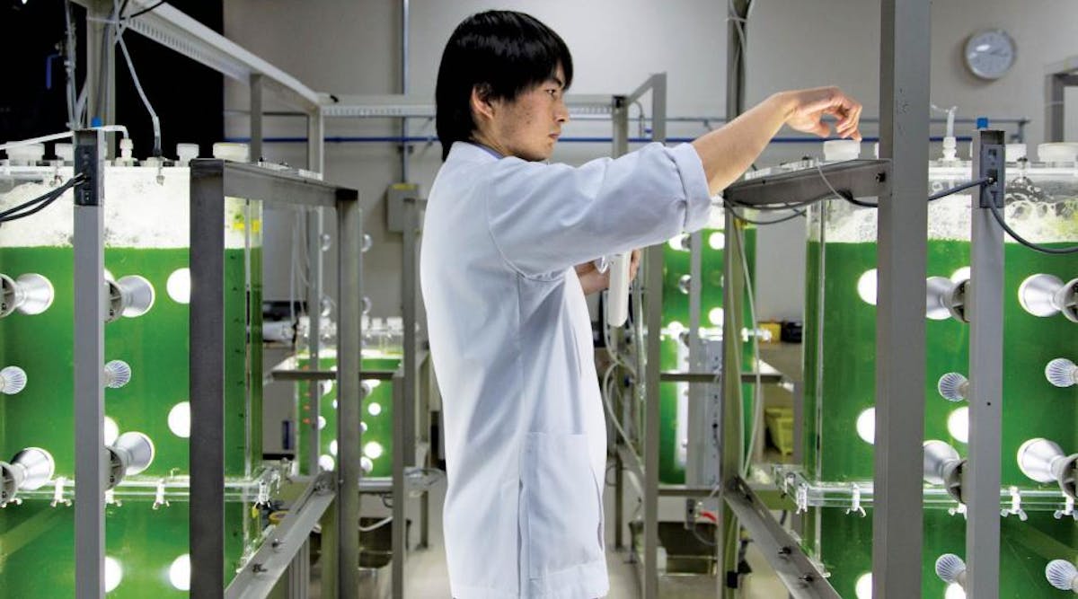 Dedicating an R&D Facility to Biofuel Production 