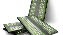 Micron Technology: Sustainability as Competitive Advantage