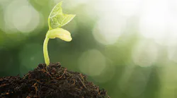 seedling-young-plant-1540.jpg