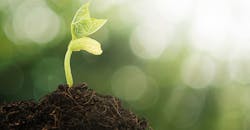 seedling-young-plant-1540.jpg seedling-young-plant-1540.jpg