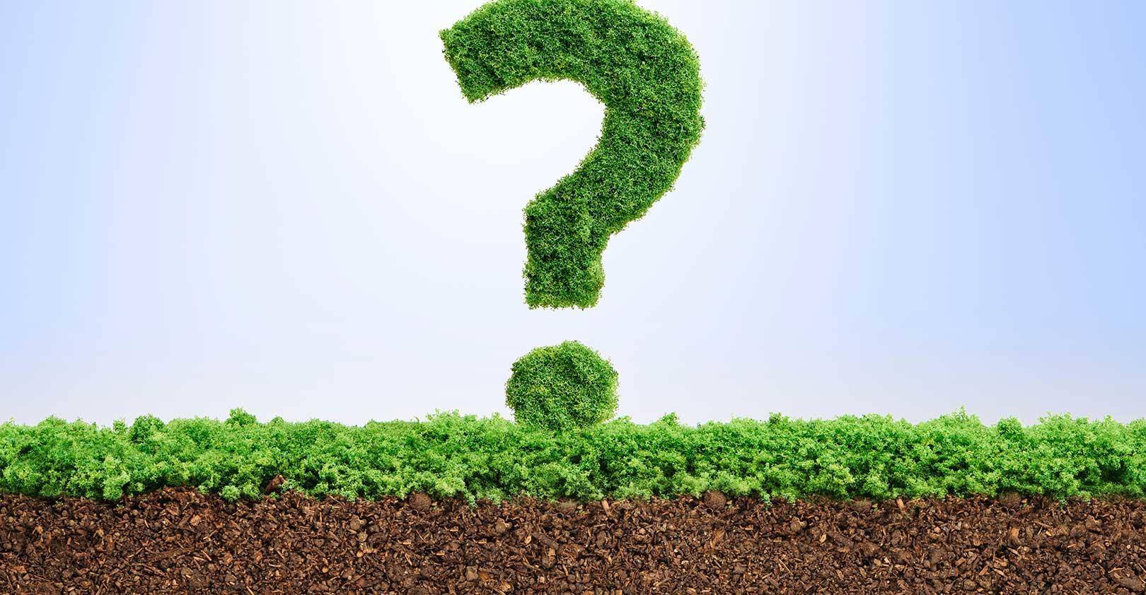 grassy-question-mark-green-confusion-Pogonici-iStock-Getty.jpg