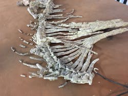 Industryweek Com Sites Industryweek com Files Img 0966 1 Industryweek Com Sites Industryweek com Files Img 0966 1