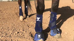 Zebra Equine Technologies Horse Legs (1) Zebra Equine Technologies Horse Legs (1)