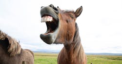 Getty Images 1094761380 5e318b1c434e7 Getty Images 1094761380 5e318b1c434e7