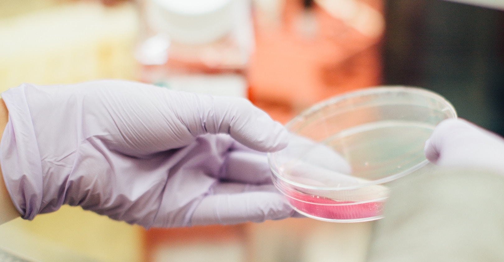 Lanxess leveraging analytics in pursuit to become chemical industry's digital leader.