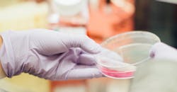 Lanxess leveraging analytics in pursuit to become chemical industry's digital leader. Lanxess leveraging analytics in pursuit to become chemical industry's digital leader.