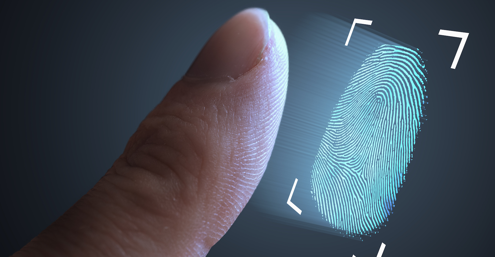 Getty Images 1134765626 5e44205a3a067