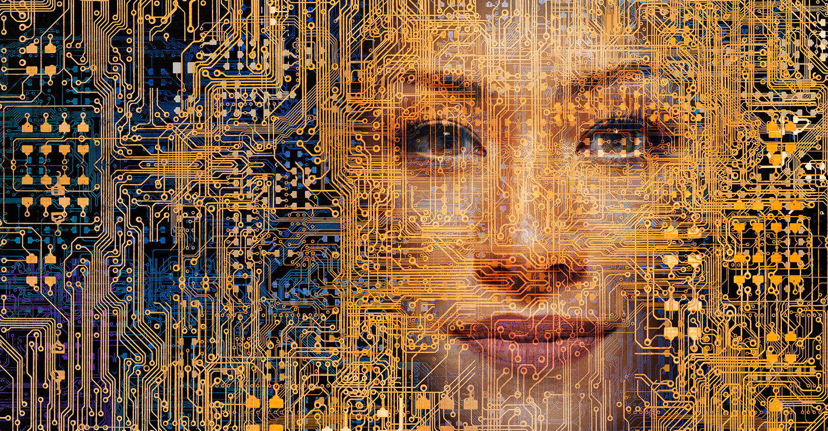 Human In The Machine 5e459fea07d9e